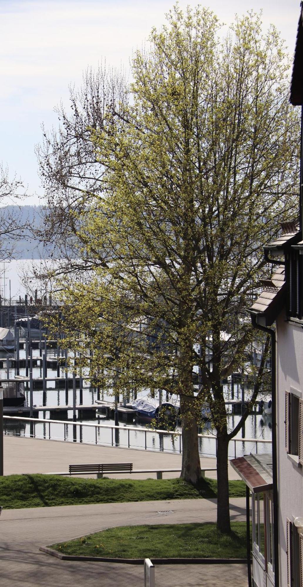 Gaestehaus Maeder Am Hafen 울딘겐물호펜 외부 사진