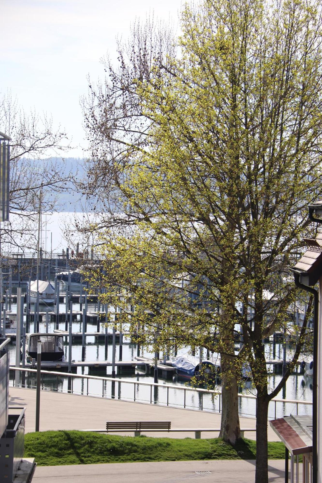 Gaestehaus Maeder Am Hafen 울딘겐물호펜 객실 사진