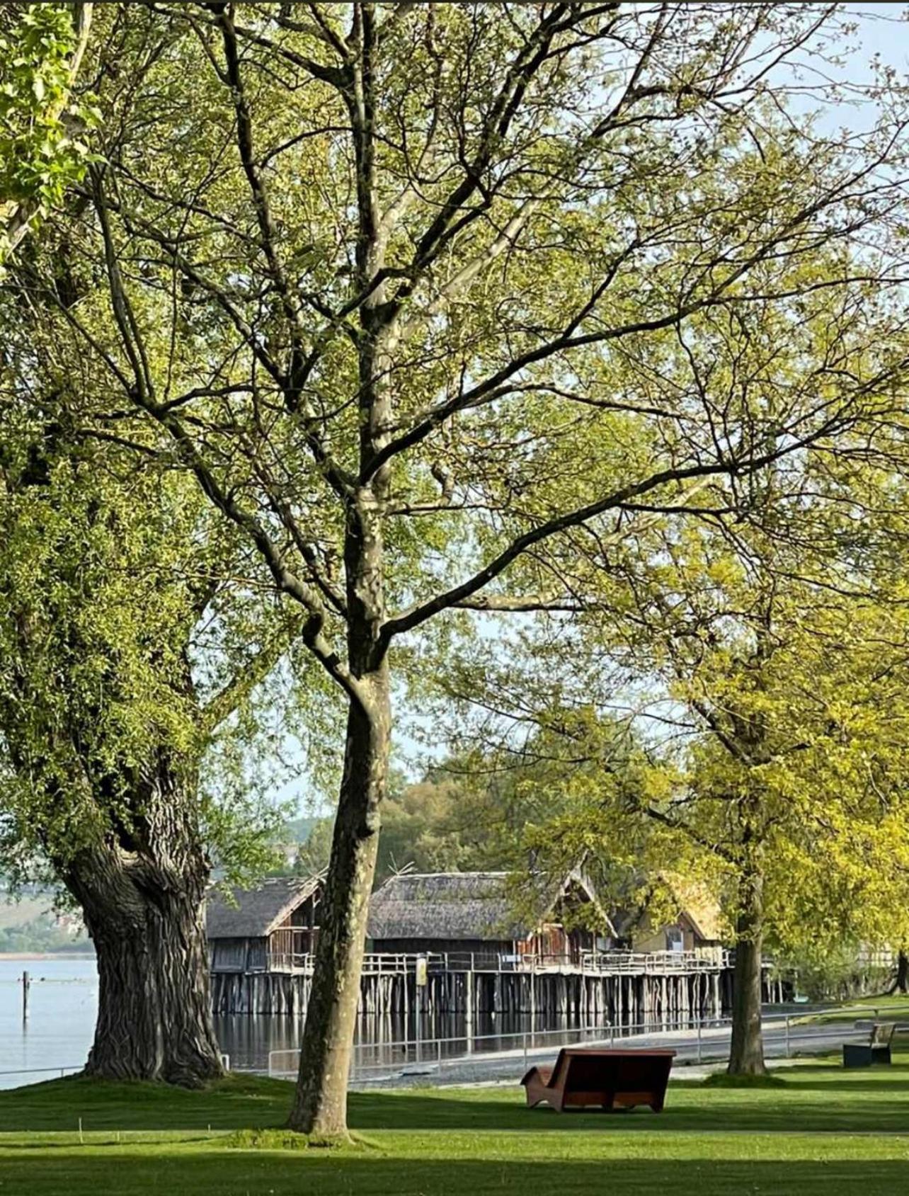 Gaestehaus Maeder Am Hafen 울딘겐물호펜 외부 사진